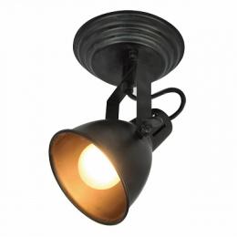 Изображение продукта Спот Silver Light Bastille 